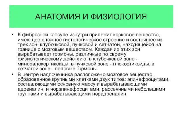 АНАТОМИЯ И ФИЗИОЛОГИЯ К фиброзной капсуле изнутри прилежит корковое вещество, имеющее сложное