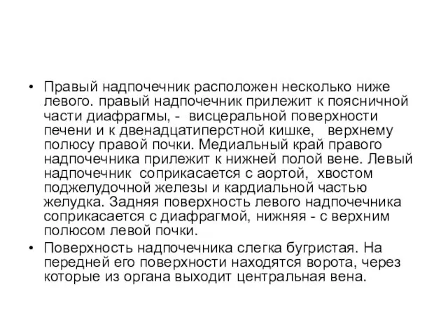 Правый надпочечник расположен несколько ниже левого. правый надпочечник прилежит к поясничной части