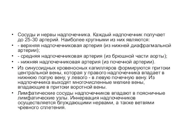 Сосуды и нервы надпочечника. Каждый надпочечник получает до 25-30 артерий. Наиболее крупными