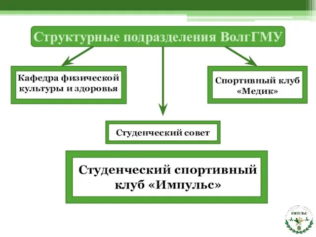 Структурные подразделения ВолгГМУ Кафедра физической культуры и здоровья Спортивный клуб «Медик» Студенческий