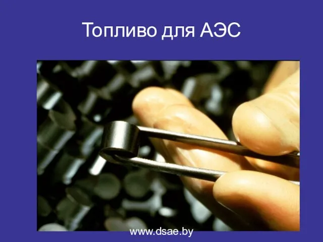 Топливо для АЭС www.dsae.by