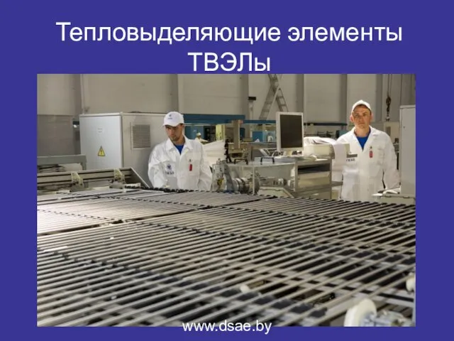 Тепловыделяющие элементы ТВЭЛы www.dsae.by