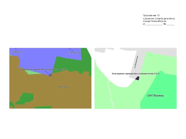 Приложение 12 к решению Совета депутатов города Новосибирска от _____________ № ______