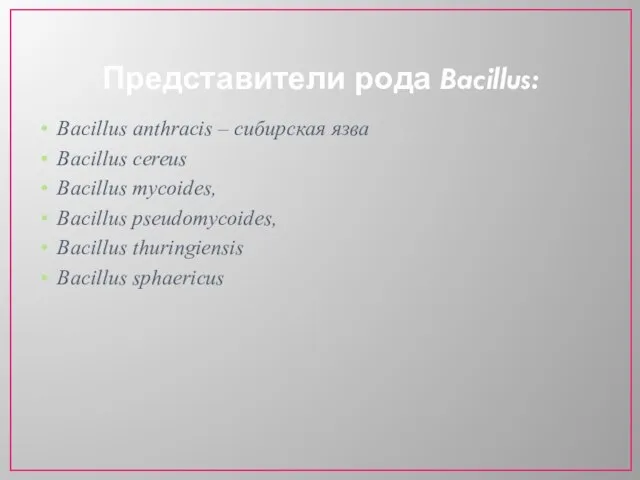 Представители рода Bacillus: Bacillus anthracis – сибирская язва Bacillus cereus Bacillus mycoides,