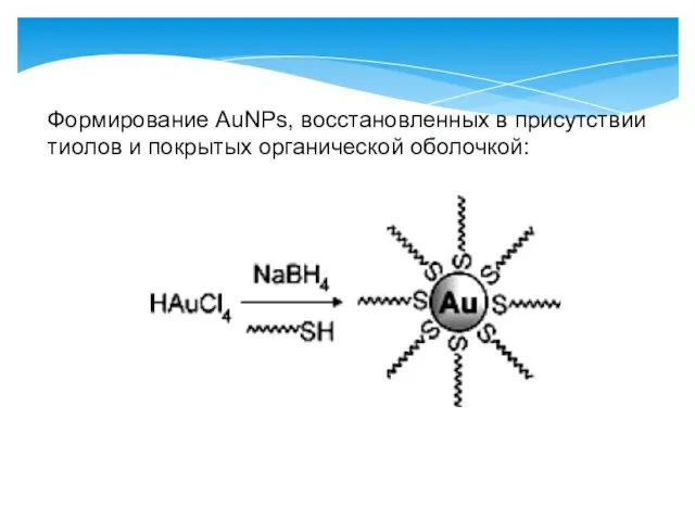 Формирование AuNPs, восстановленных в присутствии тиолов и покрытых органической оболочкой:
