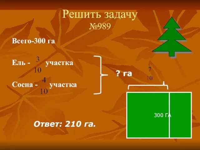 Решить задачу №989 Всего-300 га Ель - участка Сосна - участка ?