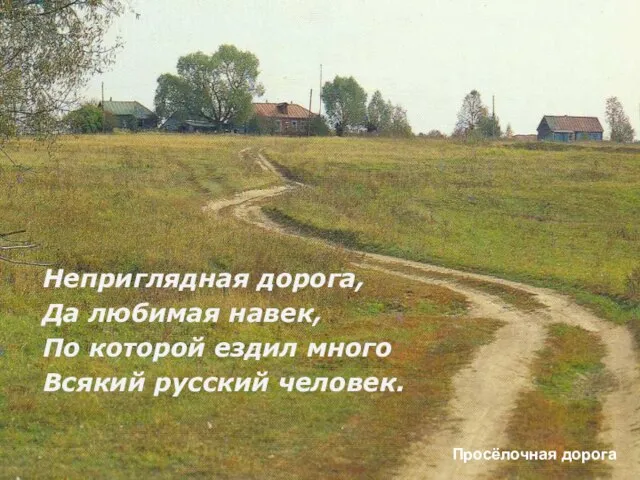 Неприглядная дорога, Да любимая навек, По которой ездил много Всякий русский человек. Просёлочная дорога