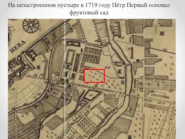 На незастроенном пустыре в 1719 году Пётр Первый основал фруктовый сад