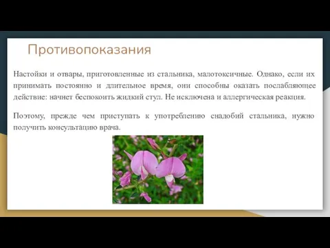 Противопоказания Настойки и отвары, приготовленные из стальника, малотоксичные. Однако, если их принимать