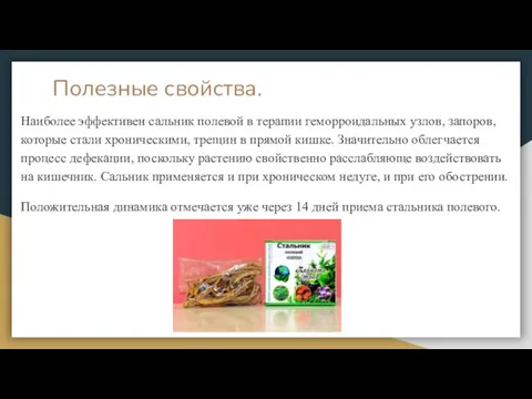 Полезные свойства. Наиболее эффективен сальник полевой в терапии геморроидальных узлов, запоров, которые