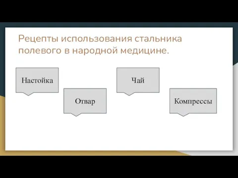 Рецепты использования стальника полевого в народной медицине. Настойка Отвар Чай Компрессы