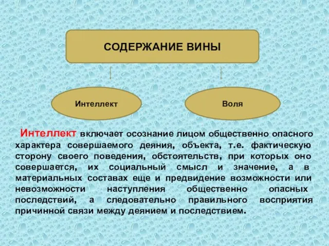 Интеллект включает осознание лицом общественно опасного характера совершаемого деяния, объекта, т.е. фактическую