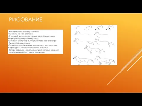 РИСОВАНИЕ Как нарисовать лисичку поэтапно Рисовать начнём с головы В верхней части