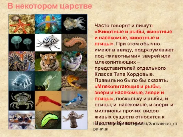 Часто говорят и пишут:«Животные и рыбы, животные и насекомые, животные и птицы».