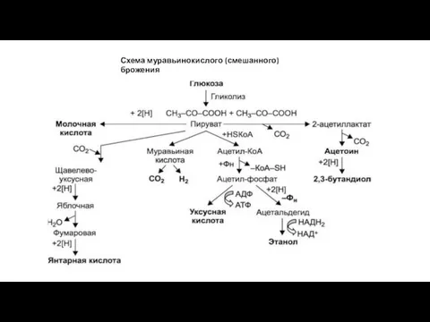 Схема муравьинокислого (смешанного) брожения