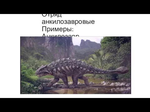 Отряд анкилозавровые Примеры: Анкилозавр