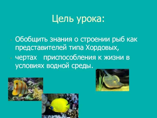 Цель урока: Обобщить знания о строении рыб как представителей типа Хордовых, чертах