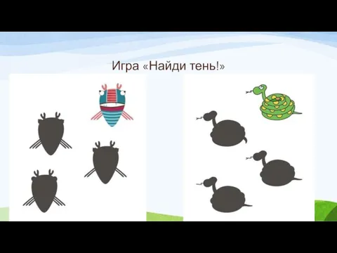 Игра «Найди тень!»