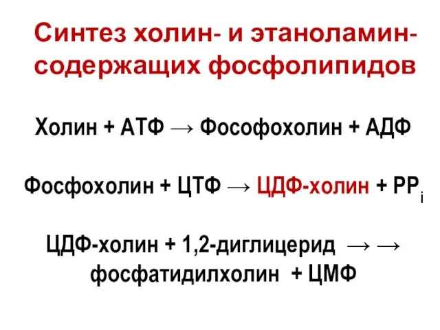 Синтез холин- и этаноламин-содержащих фосфолипидов Холин + АТФ → Фософохолин + АДФ