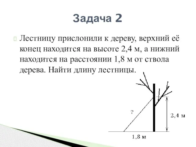 Лестницу прислонили к дереву, верхний её конец находится на высоте 2,4 м,