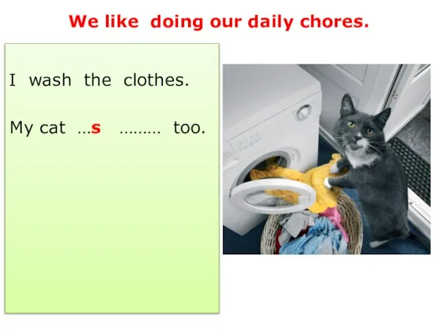 We like doing our daily chores. I wash the clothes. My cat …s ……… too.