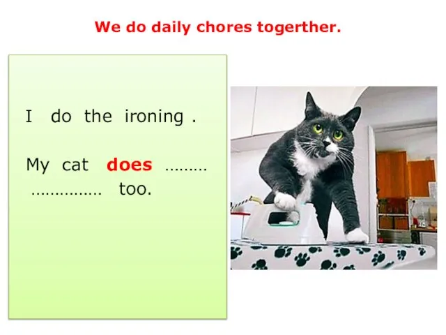 We do daily chores togerther. I do the ironing . My cat does ……… …………… too.