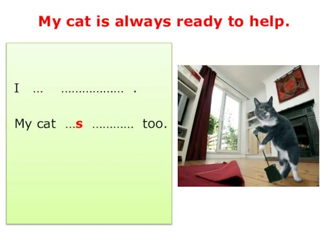 My cat is always ready to help. I … ……………… . My cat …s ………… too.