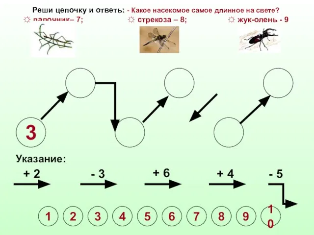 3 Указание: + 2 - 3 + 6 + 4 - 5