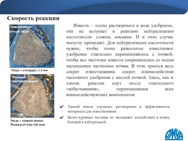 Скорость реакции Практически отсутствует Уксус + стандарт, 1-3 мм Уксус + тонкий