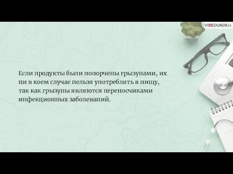 Если продукты были попорчены грызунами, их ни в коем случае нельзя употреблять