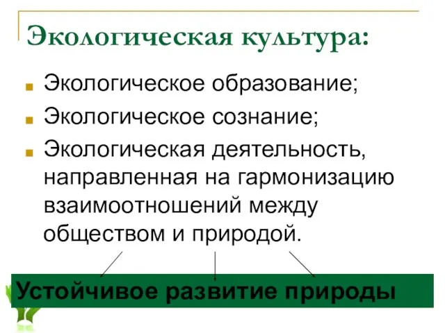 Экологическая культура: Экологическое образование; Экологическое сознание; Экологическая деятельность, направленная на гармонизацию взаимоотношений