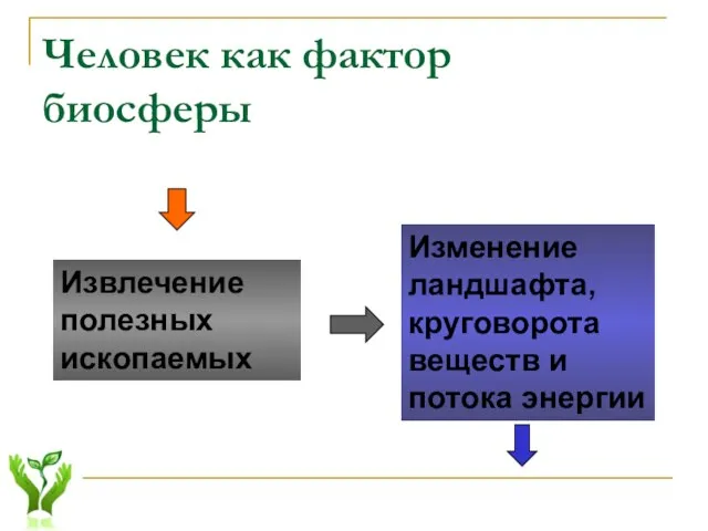 Человек как фактор биосферы Извлечение полезных ископаемых Изменение ландшафта, круговорота веществ и потока энергии