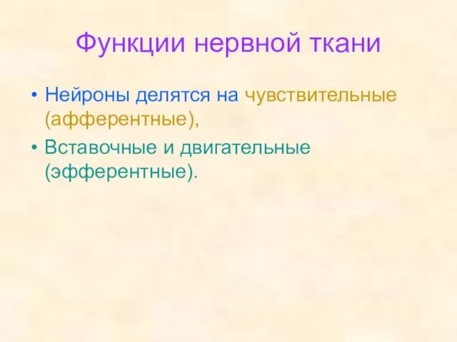 Функции нервной ткани Нейроны делятся на чувствительные(афферентные), Вставочные и двигательные (эфферентные).