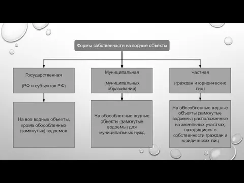 Формы собственности на водные объекты Государственная (РФ и субъектов РФ) Муниципальная (муниципальных