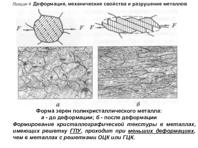 Лекция 4 Деформация, механические свойства и разрушение металлов Форма зерен поликристаллического металла: