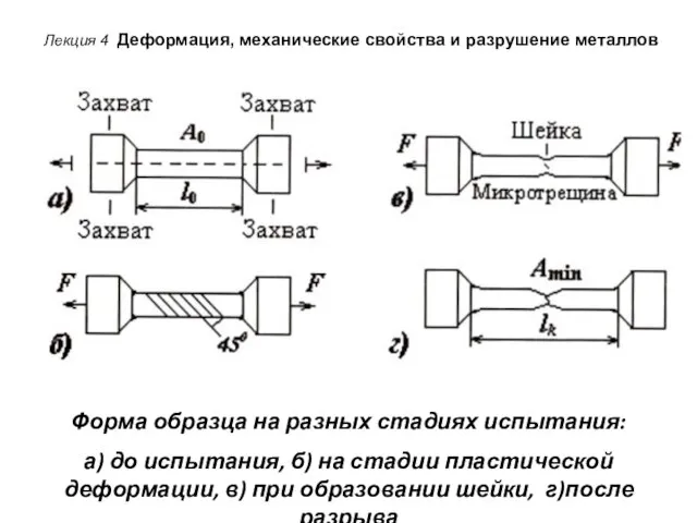 Лекция 4 Деформация, механические свойства и разрушение металлов Форма образца на разных
