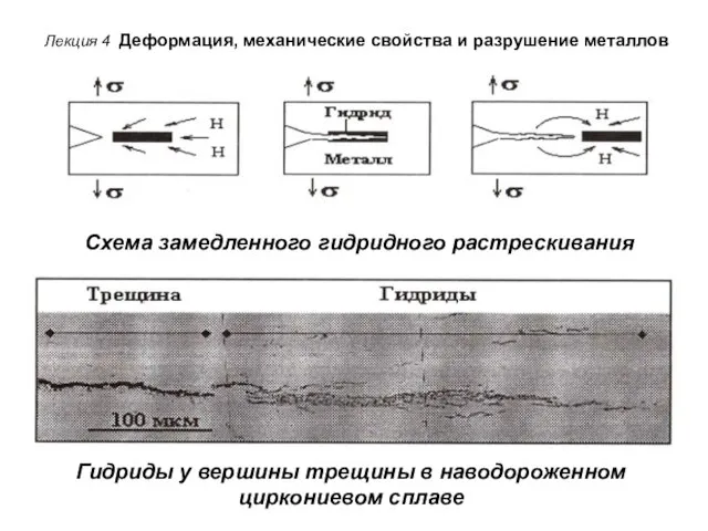 Лекция 4 Деформация, механические свойства и разрушение металлов Схема замедленного гидридного растрескивания