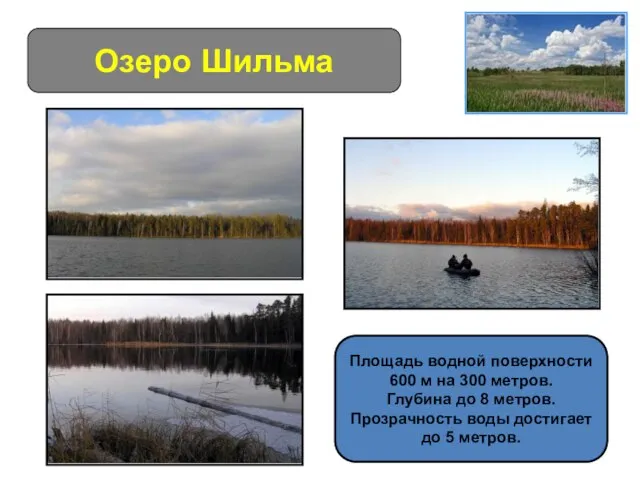 Озеро Шильма Площадь водной поверхности 600 м на 300 метров. Глубина до