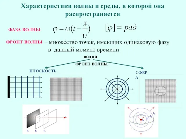 Характеристики волны и среды, в которой она распространяется ФАЗА ВОЛНЫ ФРОНТ ВОЛНЫ