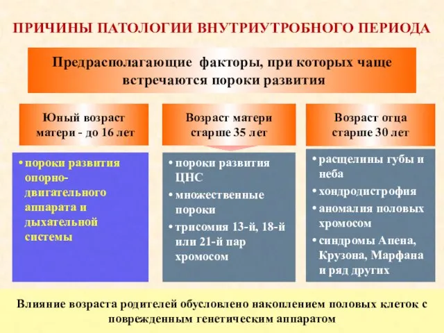 ПРИЧИНЫ ПАТОЛОГИИ ВНУТРИУТРОБНОГО ПЕРИОДА расщелины губы и неба хондродистрофия аномалия половых хромосом