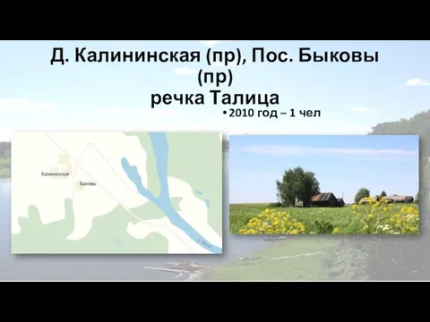 Д. Калининская (пр), Пос. Быковы (пр) речка Талица 2010 год – 1 чел