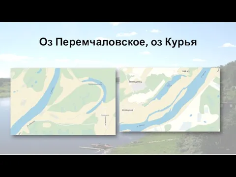 Оз Перемчаловское, оз Курья