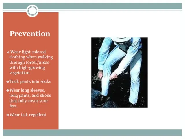 Prevention Wear light colored clothing when walking through forest/areas with high-growing vegetation.