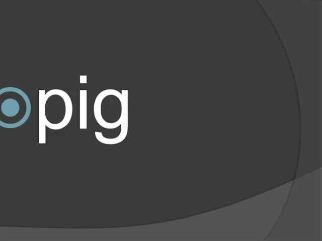 pig