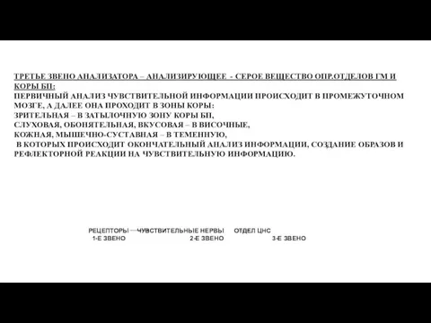 ТРЕТЬЕ ЗВЕНО АНАЛИЗАТОРА – АНАЛИЗИРУЮЩЕЕ - СЕРОЕ ВЕЩЕСТВО ОПР.ОТДЕЛОВ ГМ И КОРЫ
