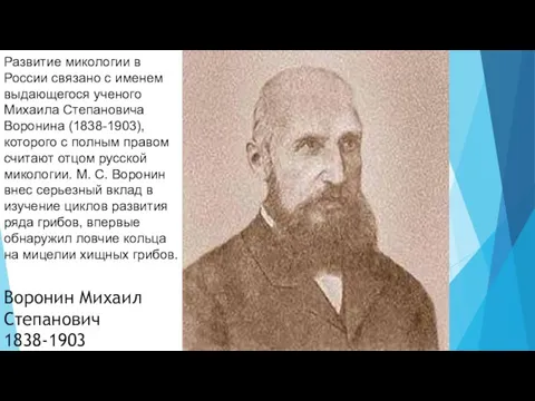 Воронин Михаил Степанович 1838-1903 Развитие микологии в России связано с именем выдающегося