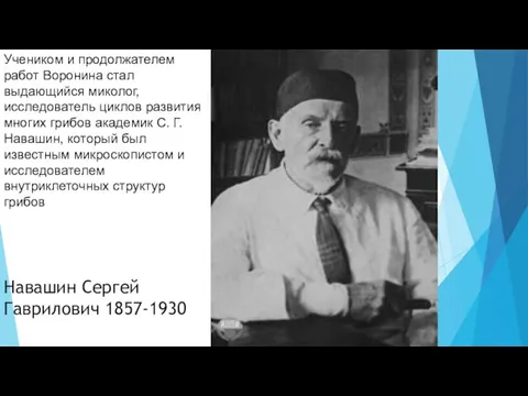 Навашин Сергей Гаврилович 1857-1930 Учеником и продолжателем работ Воронина стал выдающийся миколог,