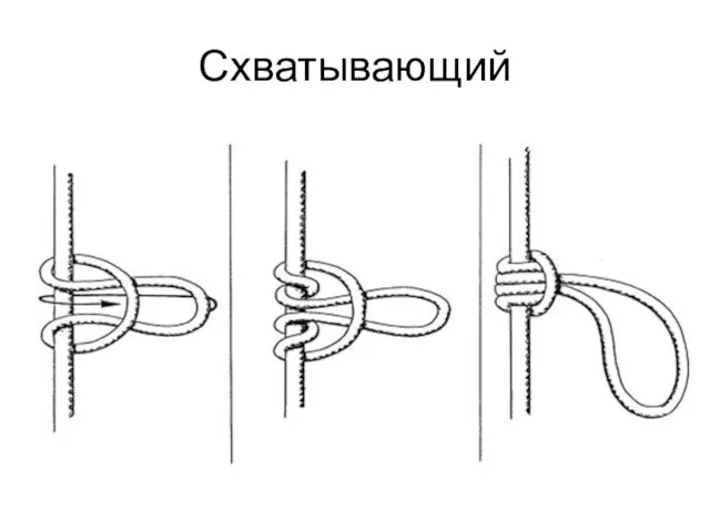 Схватывающий