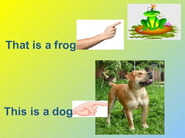 This is a dog That is a frog