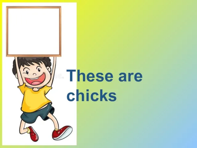 These are chicks